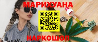 молекула духа Пугачёв