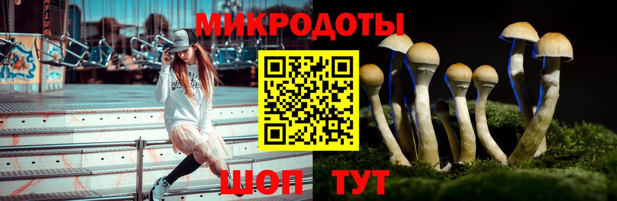 что такое   Вход с VPN  Прокопьевск  Галлюциногенные грибы Psilocybe 